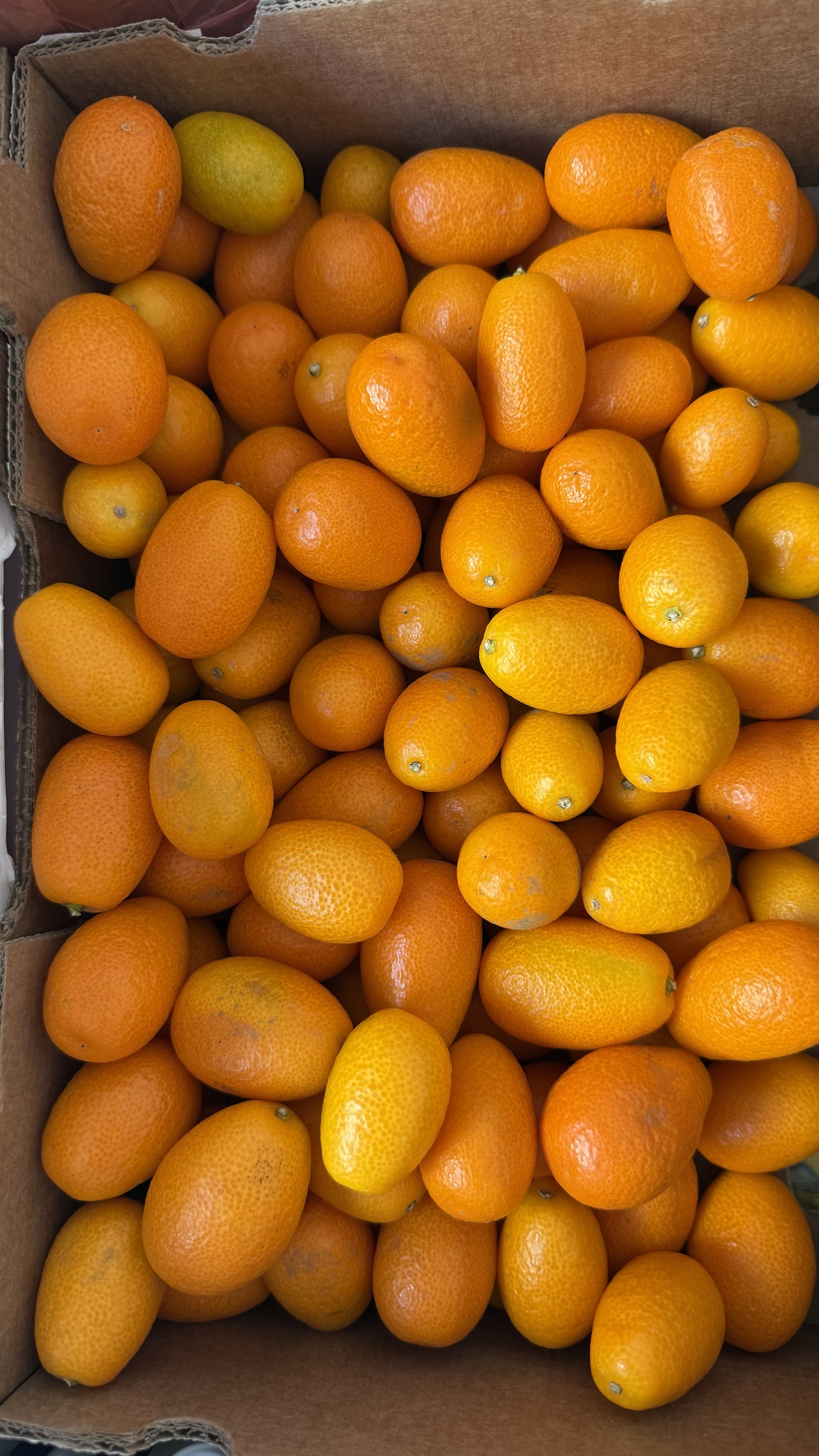 КУНКУА (ящик)