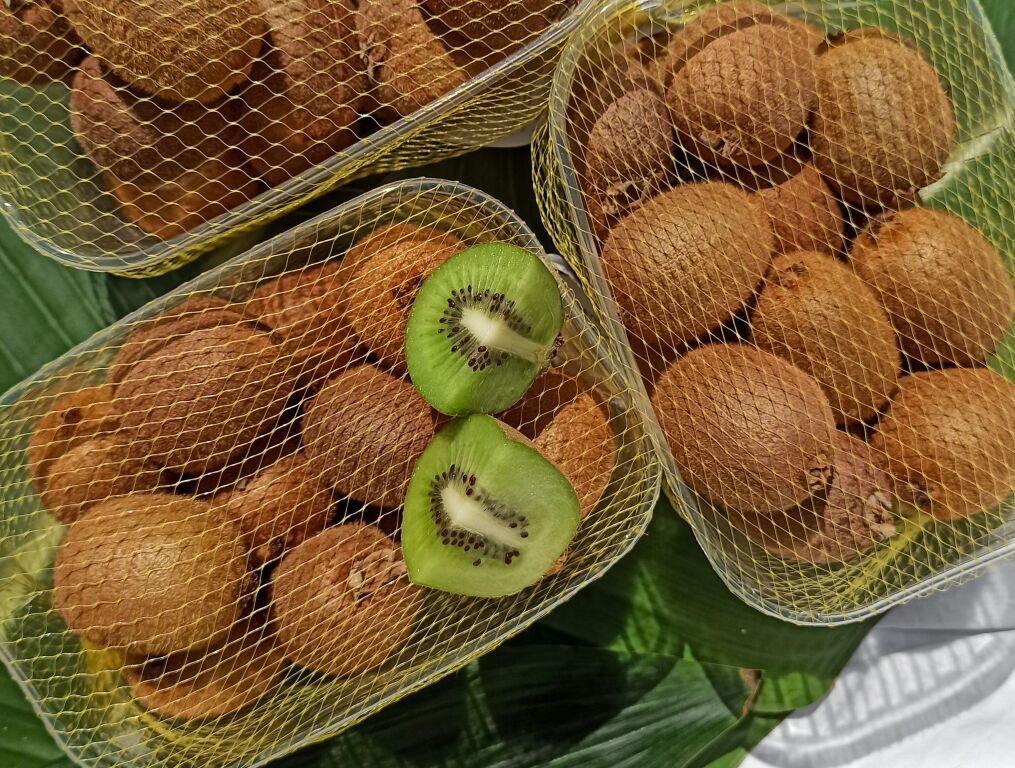 КИВИ (корзина)