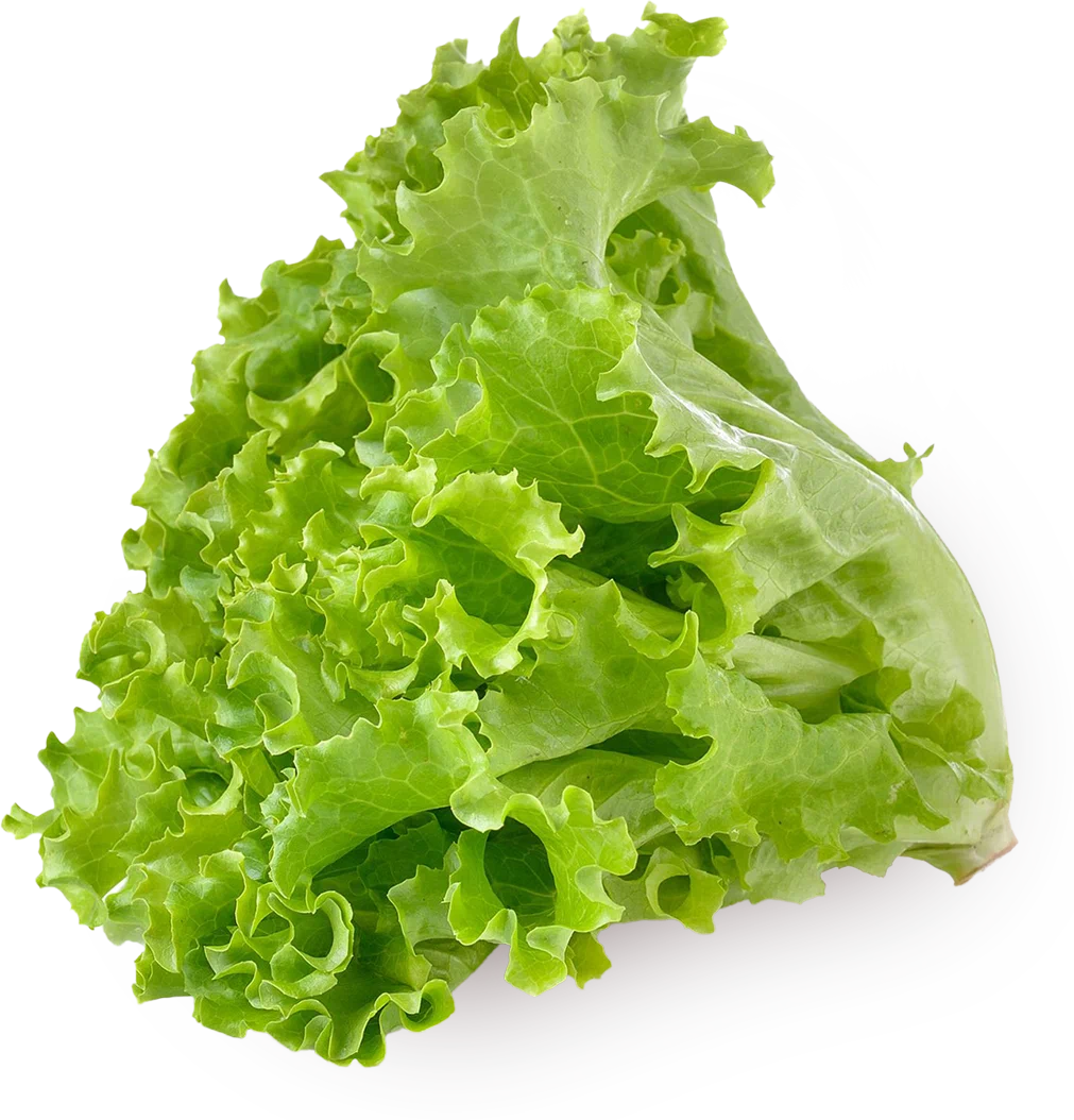 ЛИСТЬЯ САЛАТА (пучок)